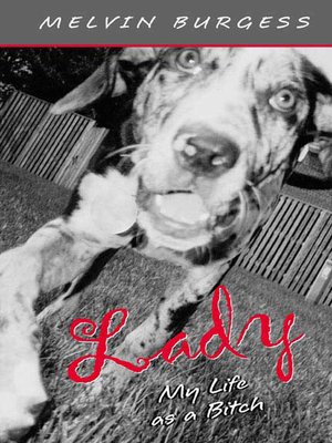 cover image of Lady